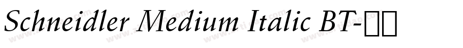 Schneidler Medium Italic BT字体转换